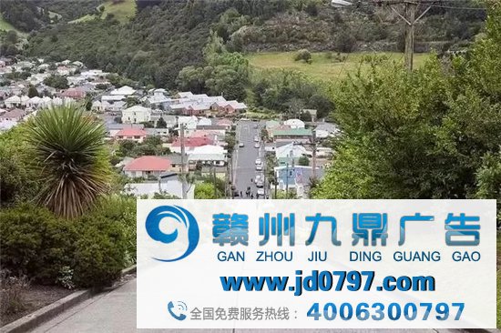 这家公司倒闭了，竟有450万人抢着捐款，硬生生给救活了！