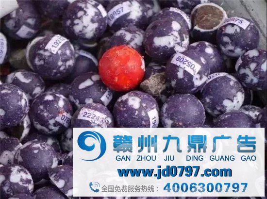 这家公司倒闭了，竟有450万人抢着捐款，硬生生给救活了！
