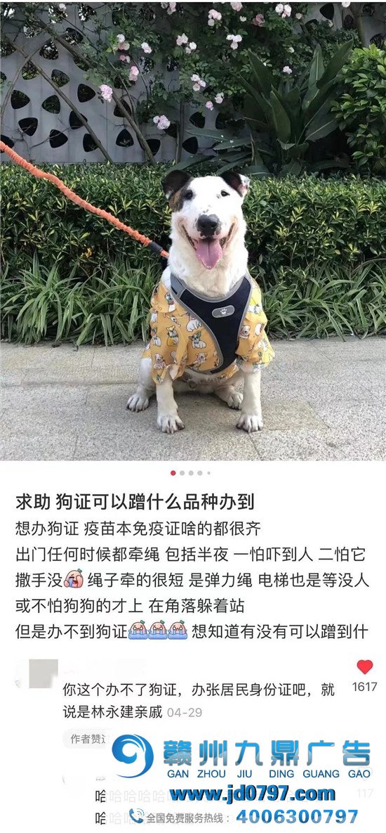 小红书评论区,笋人扎堆儿!
