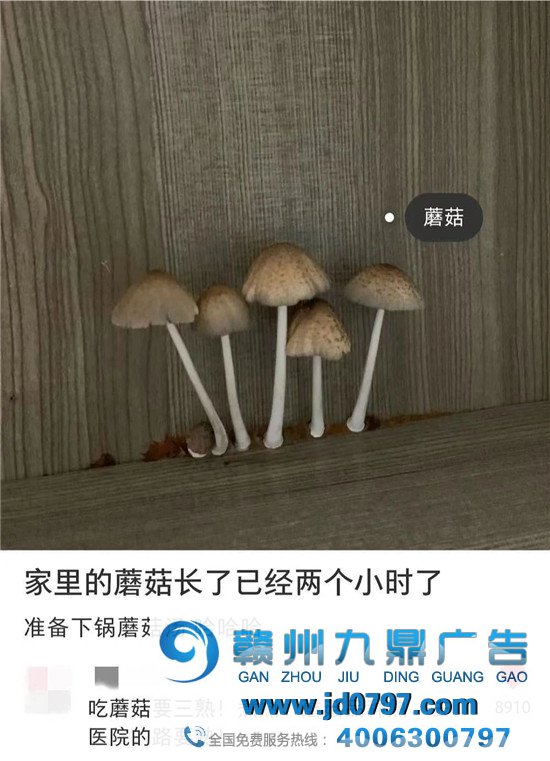 小红书评论区,笋人扎堆儿!