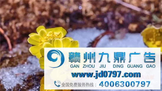 广告见匠心,农夫山泉讲好了水的故事