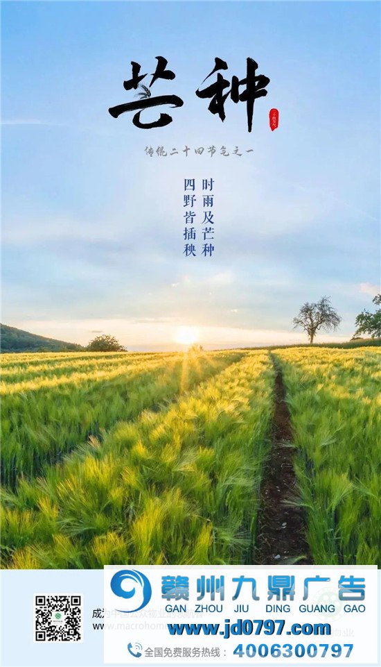 最具代表性的芒种节气被各大品牌撩动!
