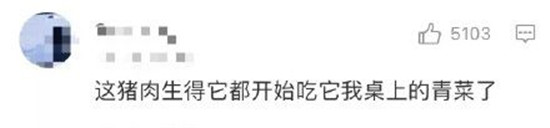 见过最高情商的差评，笑到满地找头哈哈哈