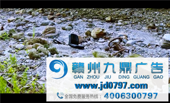 看见记忆的力量