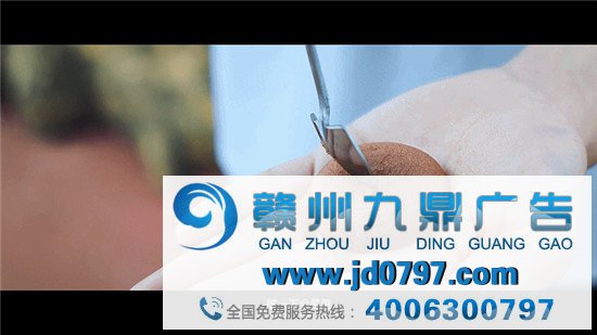 趣多多的挖宝公布会，我笑了三分钟