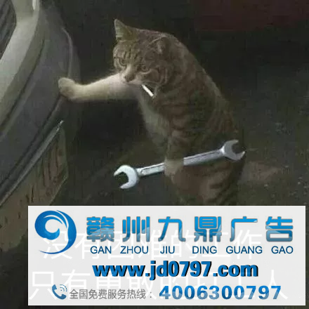 腾讯新总部征名，网友：“鹅城”！