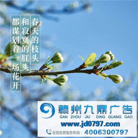 比肩杜蕾斯，肛泰这半年赢麻了