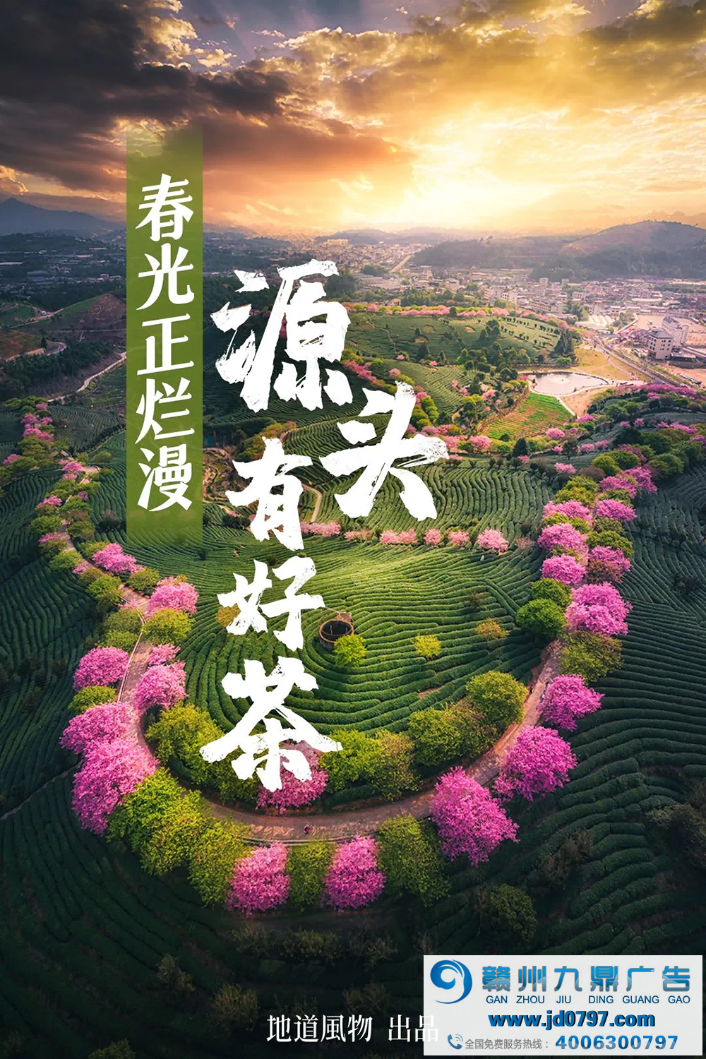 人间四月应问茶：一文读懂中国最鲜春茶源产地